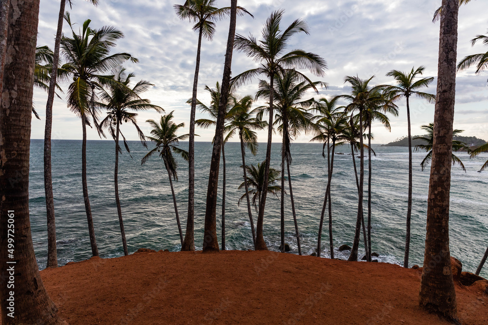 Fototapeta premium Coconut Tree Hill, Mirissa, Sri Lanka