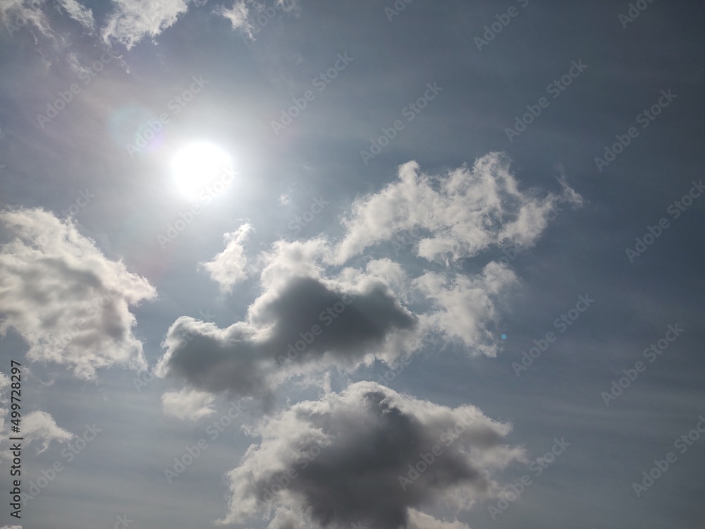 Obraz premium 東京のそら(22.4.19)