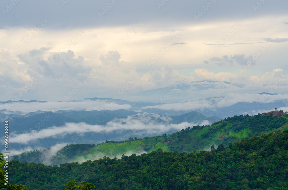 Naklejka premium Landscape green mountains forest with rain fog at Doi Chang, Chiang Rai Thailand