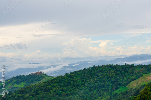 Landscape green mountains forest with rain fog at Doi Chang  Chiang Rai Thailand