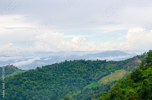 Landscape green mountains forest with rain fog at Doi Chang, Chiang Rai Thailand © kedsirin
