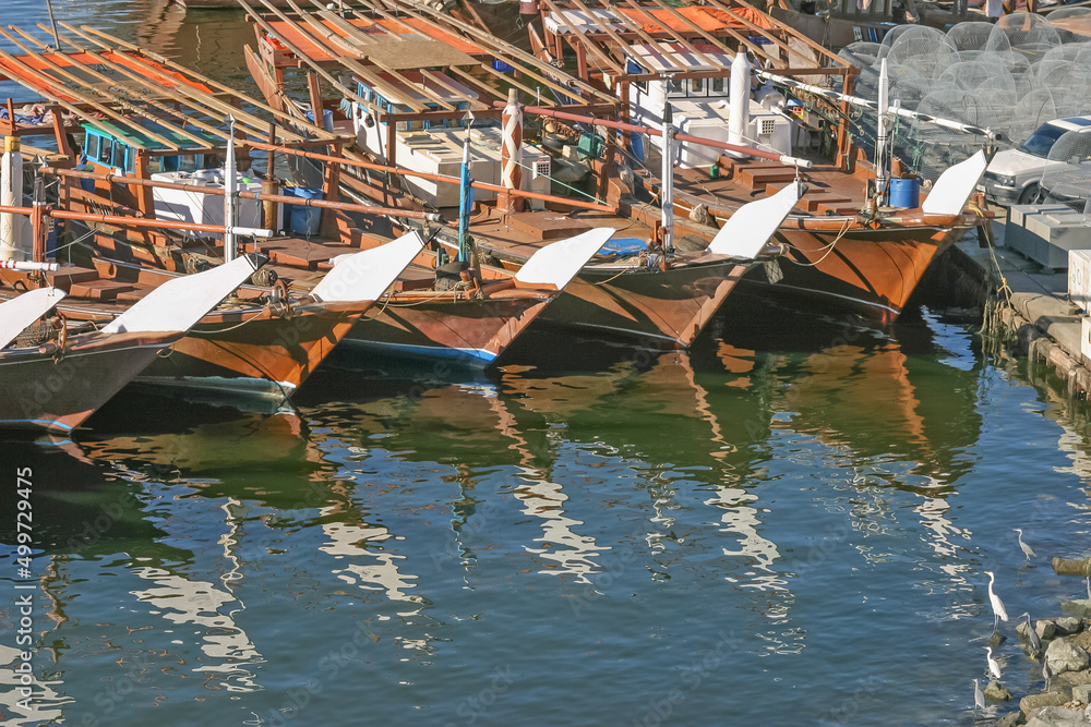 Traditional Fishing Dhows in Sharjah
