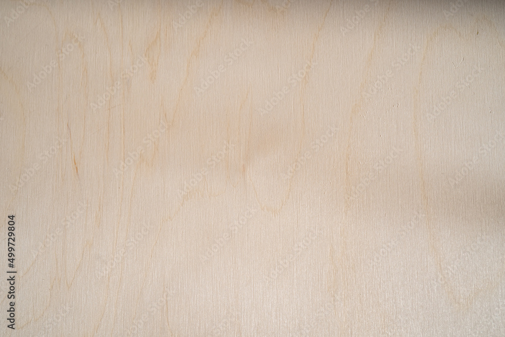 Fototapeta premium A sheet of plywood. Close-up texture. Daylight.