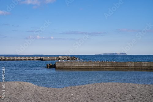 伊東 伊豆 海 ビーチ 海岸 観光 © sugiwork