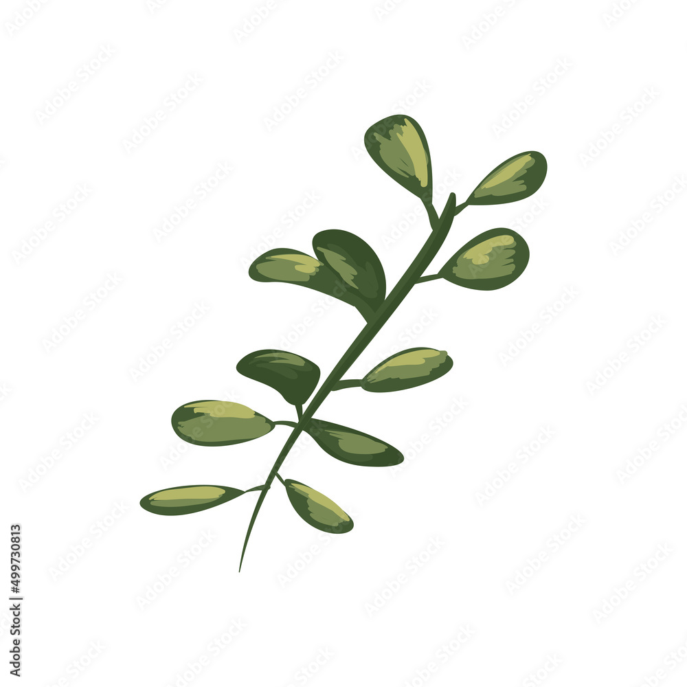 cute plant branch cute plant branch