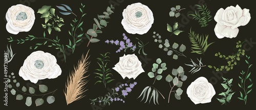 Vector grass and flower set. Eucalyptus, different plants and leaves, lavender, white roses, ranunculus, dry wood, mimosa. 