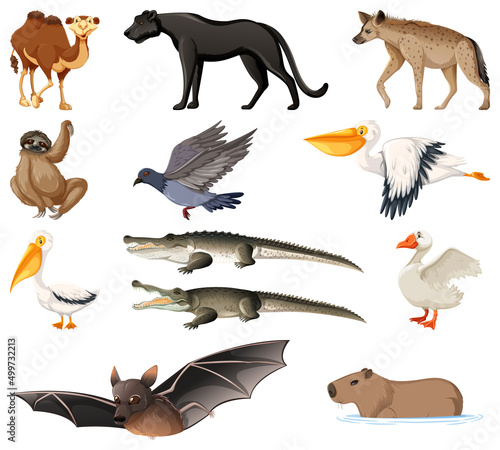 Different kinds of animals collection