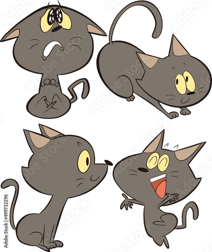 色んな表情の黒猫