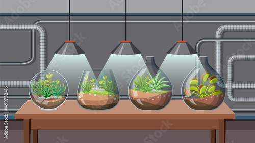 Cute glass terrariums with succulents in lab