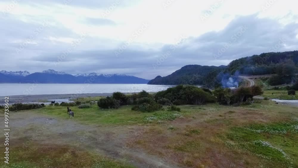 Idyllic landscape. rural scenics. Aerial view of the Beagle Channel ocean, forest and Andes mountains at sunset. Horses run along the green field. Idyllic landscape. rural scenics. Aerial view of the Beagle Channel ocean, forest and Andes mountains at sunset. Horses run along the green field.