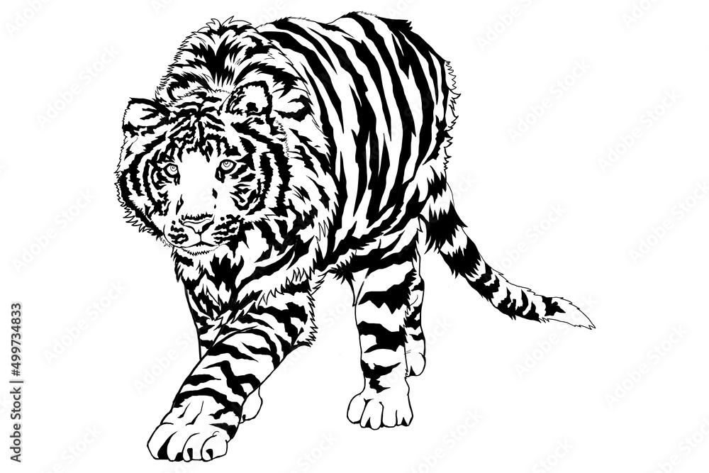 虎の塗り絵