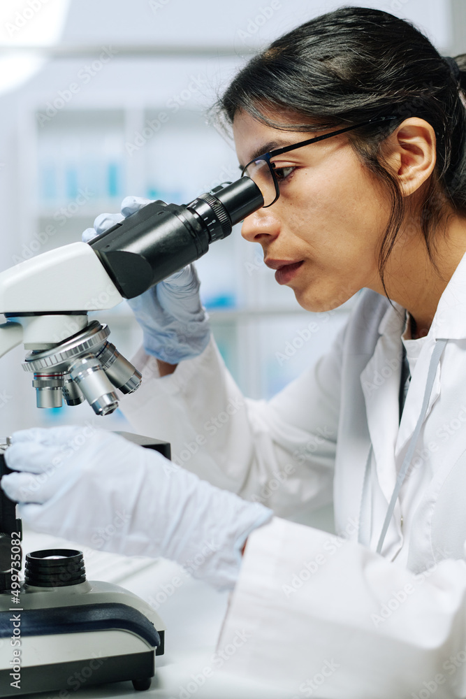 Young serious female microbiologist or virologist using microscope in laboratory while making scientific research or experiment Young serious female microbiologist or virologist using microscope in laboratory while making scientific research or experiment