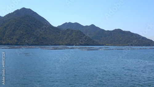 瀬戸内海に浮かぶ広島の牡蠣の養殖筏  4K  移動撮影  2022年4月17日 広島湾西部 廿日市市 厳島付近にて撮影 photo