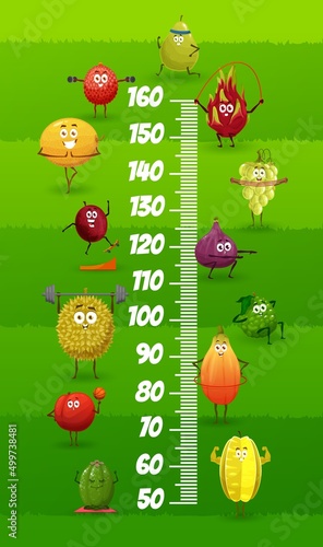 Cartoon tropical fruits on fitness, kids height chart vector growth meter. Baby measure scale with papaya, feijoa and grape, bergamot, pithaya and fig with dumbbell in gym, pear, starfruit and durian