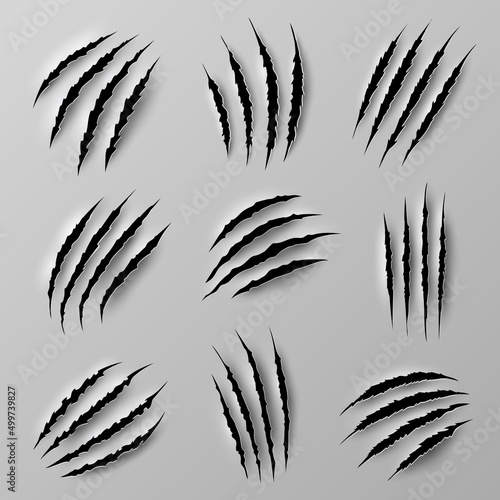Claw marks scratches of wild animals. Monster, lion or bear paw nails traces on wallpaper with poles and torn edges. Horror beast, werewolf or cat 3d realistic vector claws strike trails ripping paper
