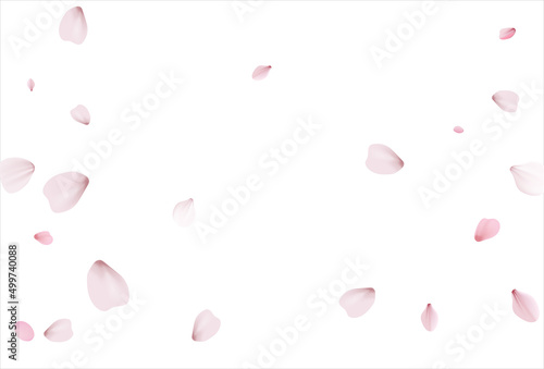 Pink sakura vector background, cherry flowers
