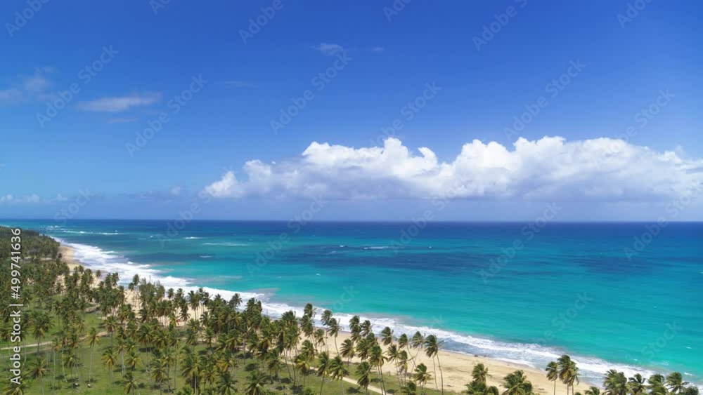 Marine palm beach. Tropical coast on a summer sunny day. A large white cloud in the blue sky over the blue ocean. Travel to tropical paradise. Beautiful seascape of wild nature. Marine palm beach. Tropical coast on a summer sunny day. A large white cloud in the blue sky over the blue ocean. Travel to tropical paradise. Beautiful seascape of wild nature.