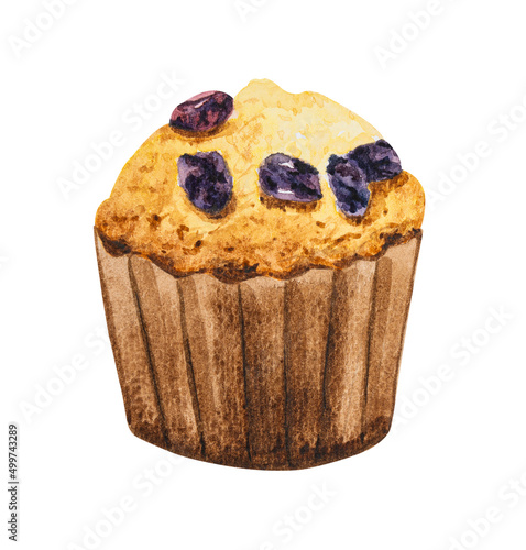 Muffin raisin hand drawn watercolor.
