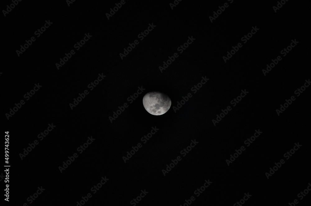 full moon in the night full moon in the night
