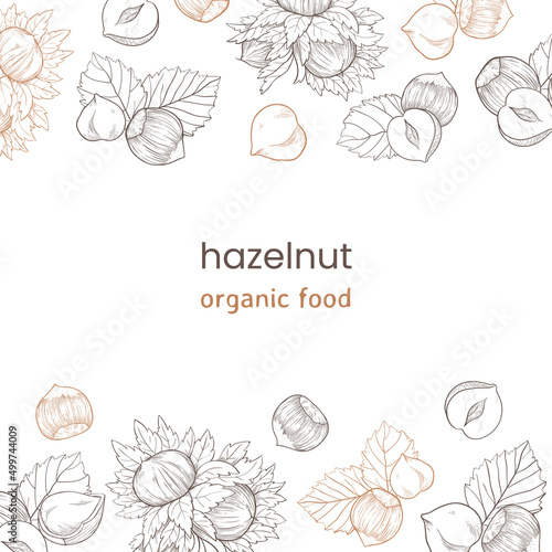 Hazelnut web banner with nuts and leaves, fruits and kernels. Frame pattern top and bottom made of hazelnuts, organic product