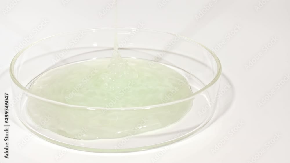 Transparent Cosmetic Gel Fluid dripping into the glass bowl of Petri. Macro Shot of Cosmetics serum, hyalurinic acid. Concept Skin care. High quality 4k footage Transparent Cosmetic Gel Fluid dripping into the glass bowl of Petri. Macro Shot of Cosmetics serum, hyalurinic acid. Concept Skin care. High quality 4k footage