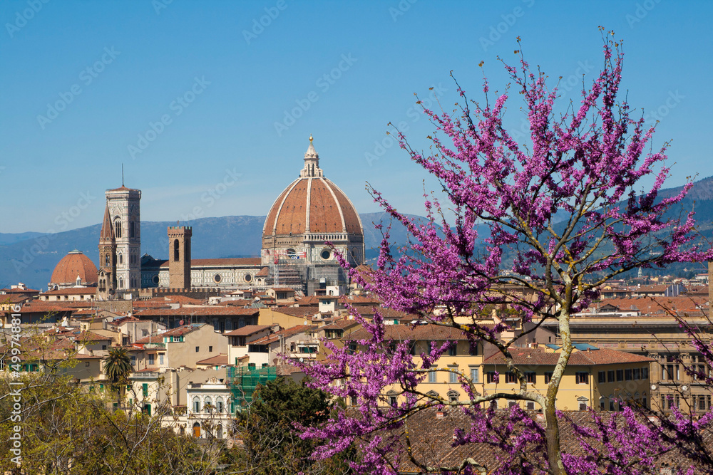 Italia, Toscana, la città di Firenze.