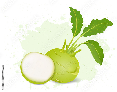 Kohlrabi Root vegetable with half piece of kohlrabi vector illustration