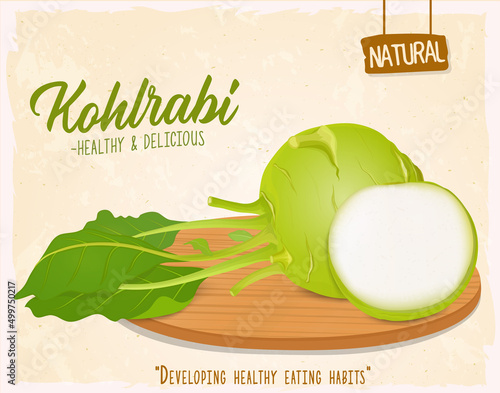 Kohlrabi vector illustration with half piece of kohlrabi root vegetable on wooden background