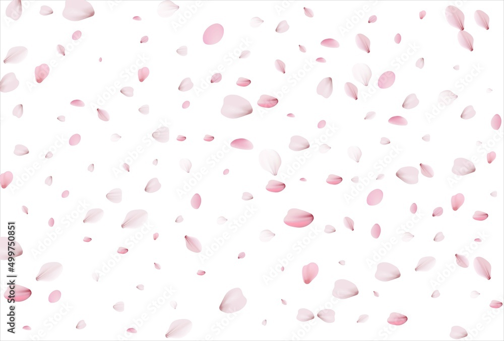 Sakura petals. Cherry petals backdrop