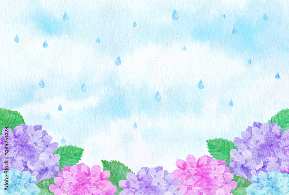 イラスト素材 水彩絵の具で手描きした6月の梅雨時期に咲く花 紫陽花 アジサイ 雨の降る風景 Stock Illustration Adobe Stock