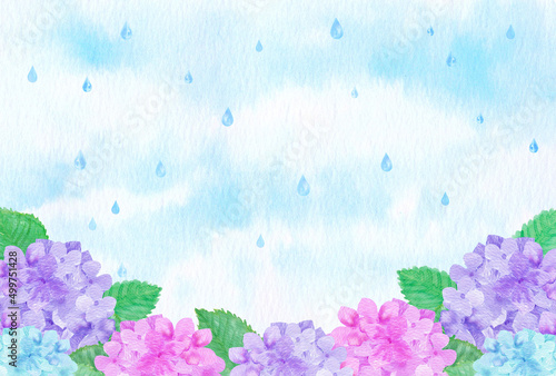 イラスト素材：水彩絵の具で手描きした6月の梅雨時期に咲く花「紫陽花（アジサイ）」雨の降る風景
 photo
