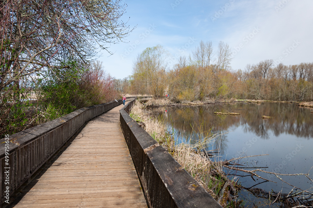 Pedestrians on wooden bridge over the lake in the Billy Frank Jr. Nisqually National Wildlife Refuge, WA, USA Pedestrians on wooden bridge over the lake in the Billy Frank Jr. Nisqually National Wildlife Refuge, WA, USA