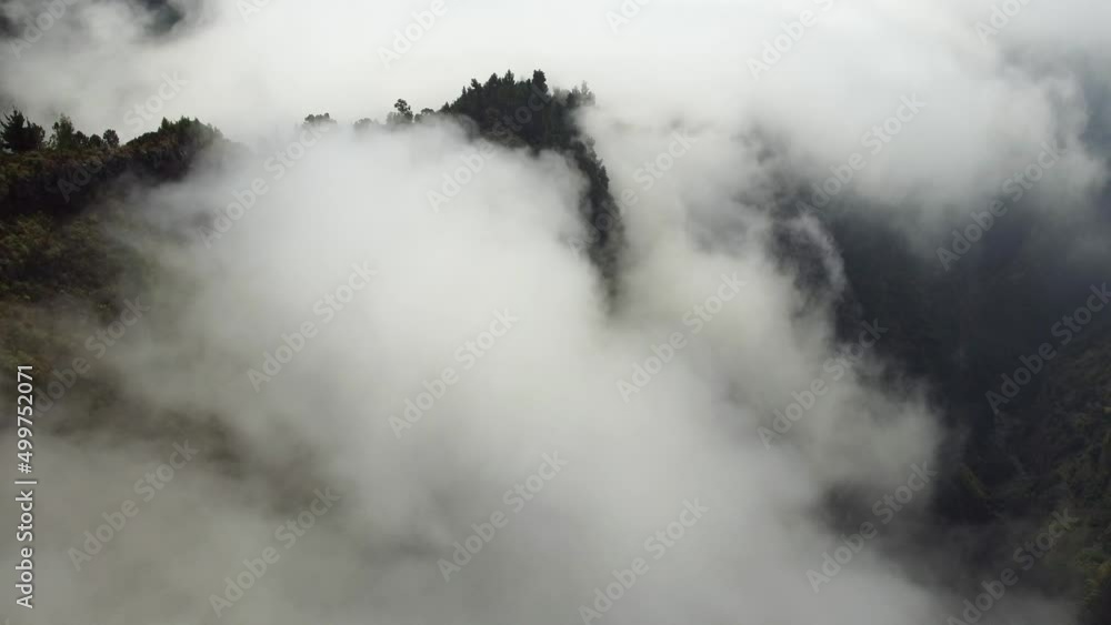 Aerial drone view flying over a forest with clouds. Filming the deep forest from above with passing clouds. Cinematic shot. Above the clouds. Relaxing and pensive feeling. Travel the world.
Aerial drone view flying over a forest with clouds. Filming the deep forest from above with passing clouds. Cinematic shot. Above the clouds. Relaxing and pensive feeling. Travel the world.