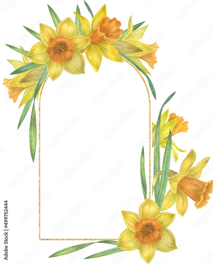 Watercolor daffodil frame.  Spring yellow flowers. Perfect for wedding invitation, greeting cards