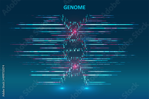Big genomic data visualization