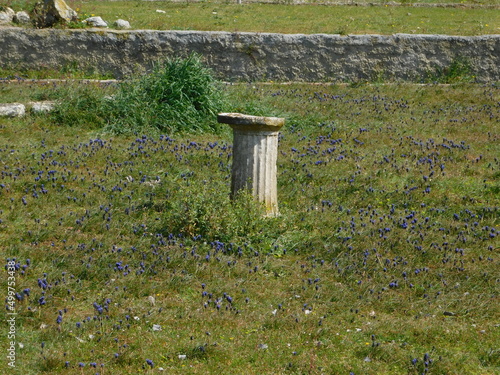 An ancient column fragment and blue spring flowers, at Pella, Macedonia, Greece photo