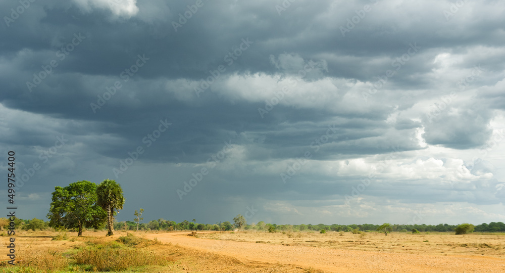 Storm clouds over a flat tropical landscape Storm clouds over a flat tropical landscape