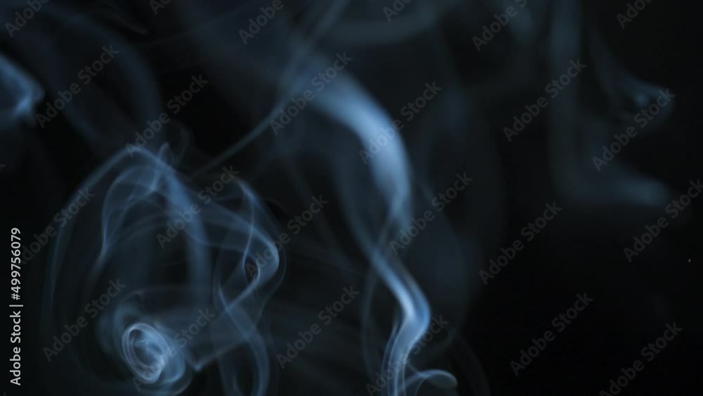 Abstract smoke rises up in beautiful swirls on a black background. Slow motion Abstract smoke rises up in beautiful swirls on a black background. Slow motion