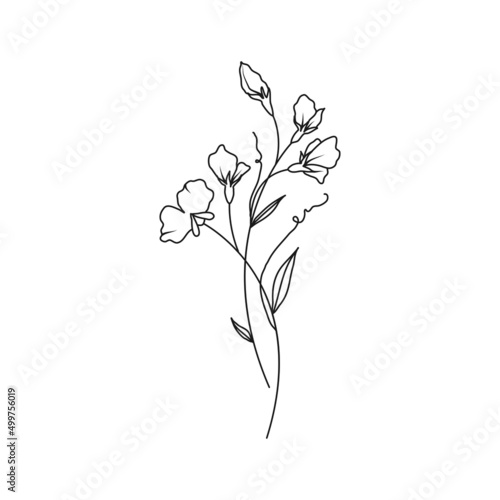 Sweet Pea April Birth Month Flower Illustration