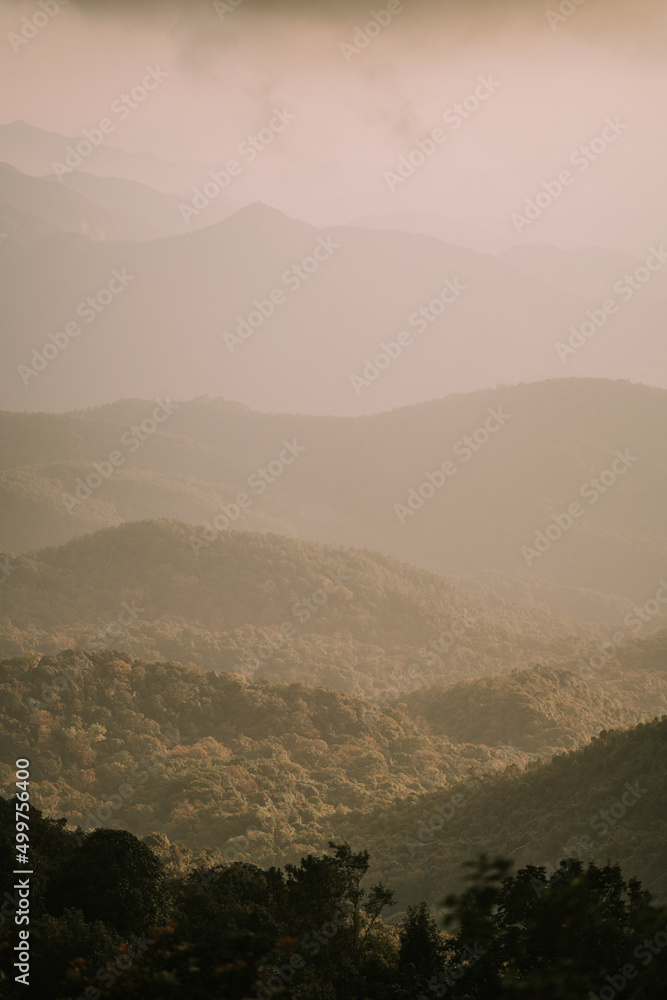Obraz premium Dawn at Doi Inthanon National Park Thailand