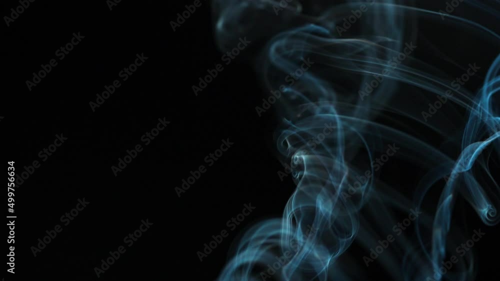 Abstract smoke rises up in beautiful swirls on a black background. Slow motion Abstract smoke rises up in beautiful swirls on a black background. Slow motion
