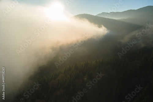 Aerial view of foggy evening over dark pine forest trees at bright sunset. Amazingl scenery of wild mountain woodland at dusk