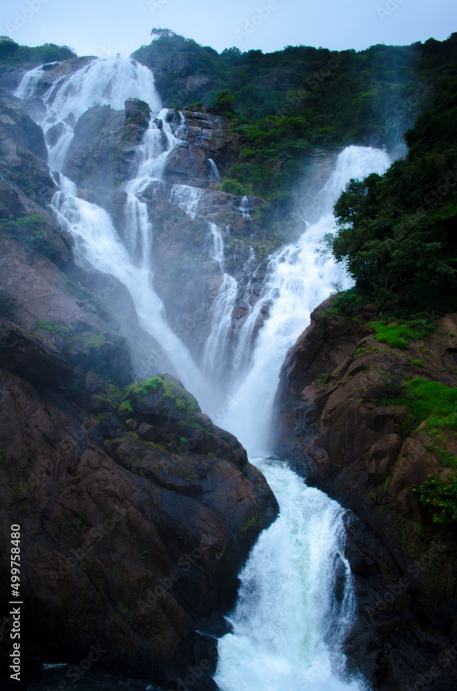 Fototapeta premium waterfall in the forest
