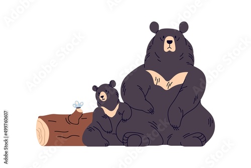 Sun bears family, mother and baby. Tropical wild animals sitting, resting. Helarctos malayanus in nature. Asian Malayan wildlife. Flat vector illustration isolated on white background photo