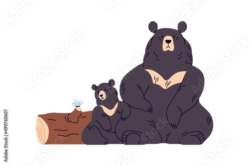 Sun bears family, mother and baby. Tropical wild animals sitting, resting. He...