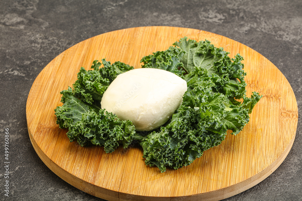 Soft mozzarella cheese over board Soft mozzarella cheese over board