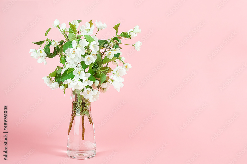 Bouquet of apple flowers in vase on pink background with copy space Bouquet of apple flowers in vase on pink background with copy space