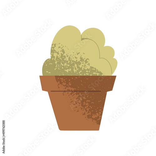 Potted house plant in flowerpot. Home interior green leaf decoration. Room fo...