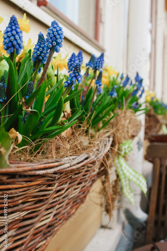 spring flowers in a basket