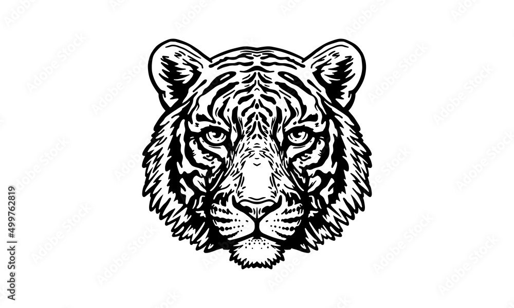 Bengal tigre on white background, vector, illustration logo, sign, emblem.